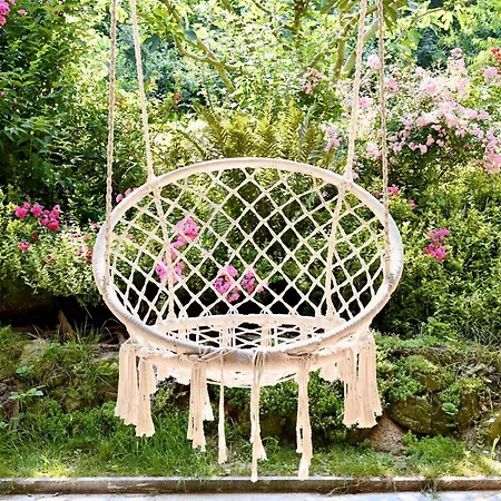 Erdoterasz Vendeghaz & * Kehidakustány