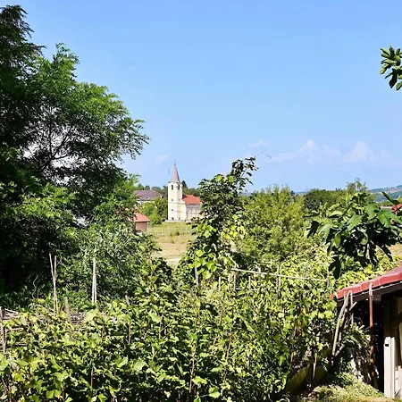 Erdőterasz - Teljes Ház Apartamento *