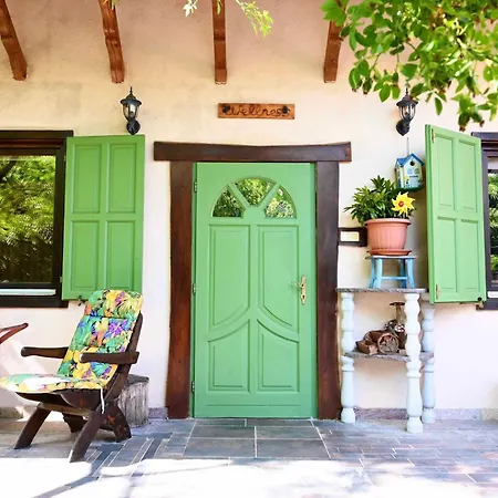 Erdoterasz Vendeghaz & Apartament Kehidakustány