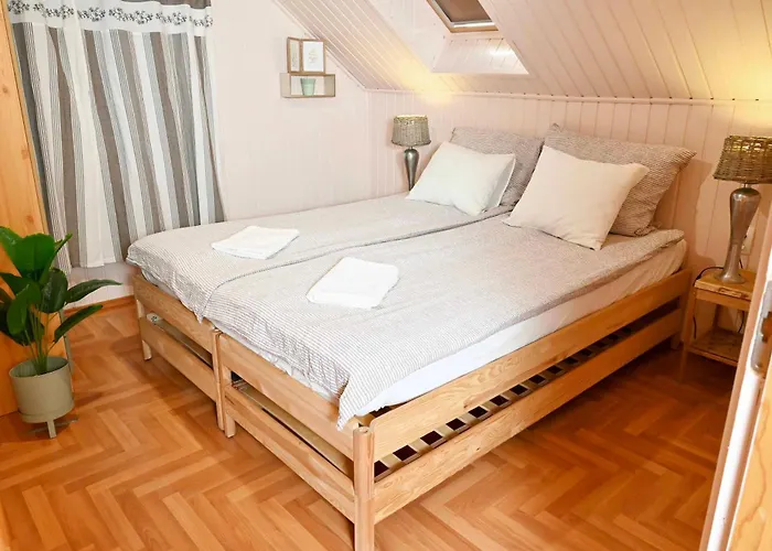 Erdoterasz Vendeghaz & Kehidakustány